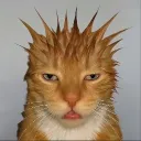 5zaiz avatar