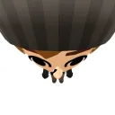 .arknn