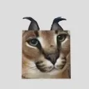 floppadagoated avatar