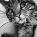.yoka. avatar