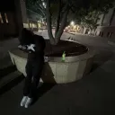 treezy19