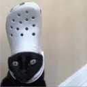 .nuggs1 avatar