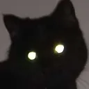 lechat