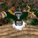 wit13vr