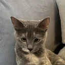 ena_tralala