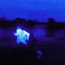 caughton4k0976_81242 avatar