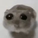 wtn_0