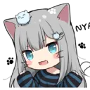 icmpmiao