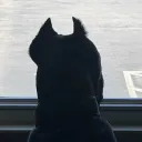 nnotblake