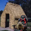 LiamLpk's Avatar