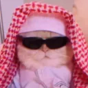 mow.mi.arab