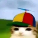 matthias.q