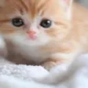 superiorguy_