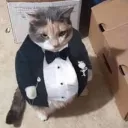 jhoandavid03243 avatar