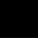 perrros.w.z51