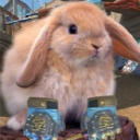Avatar for eann13