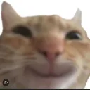 juan_martin0879 avatar