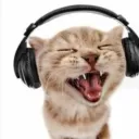 christopher070294 avatar