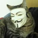 pat_tf