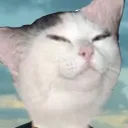 catjerryperple_12 avatar