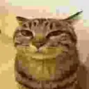 heinrichfreidrich avatar