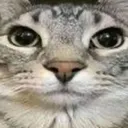itzbacon060 avatar