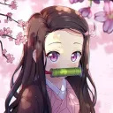 nezukokamado99