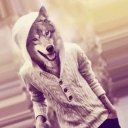 Discord Avatar