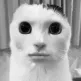 mono_modder