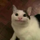 leandro060575 avatar