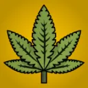 mindbrew443
