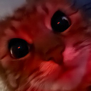 Dragonpie123 member profile picture