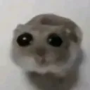 aguadeplatano0374_74707 avatar