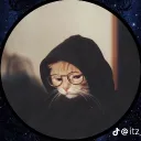 mortynotfound