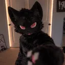 qtsyzo