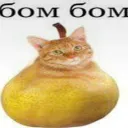 Image for БОМБОМ БОТ