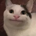 reallyisdumb555 avatar