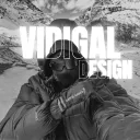 vidigaldg