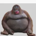 hellomyname_74370 avatar