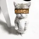 .b3stg0re.com avatar