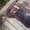 expertkid