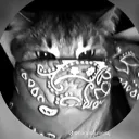 mati108638 avatar