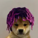 asiimo.