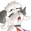 .dogsbitefingers avatar