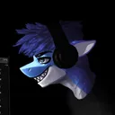 shinyshark