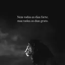 alves.xyz