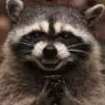 applejacks