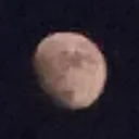 moon.stapler458