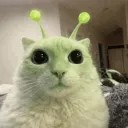 ch4uro