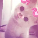 xoelliexo